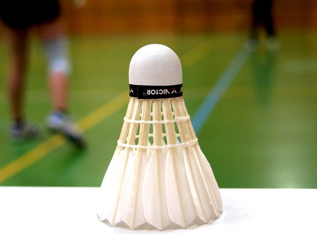Badminton – die Sportart